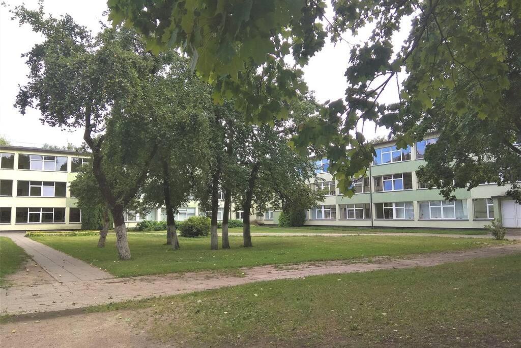 Slucko Central Studio Apartment Near River VNO Exterior photo